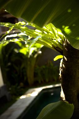 Cama y desayuno en Jimbaran (Bali)Casa de vacaciones