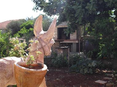 Cama y desayuno en Vela Luka (Dubrovacko-Neretvanska)Casa de vacaciones