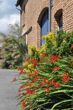 Casa de vacaciones en Maubert-Fontaine (Ardennes)Casa de vacaciones