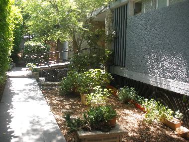 Cama y desayuno en Haifa (HaZafon (Northern))Casa de vacaciones