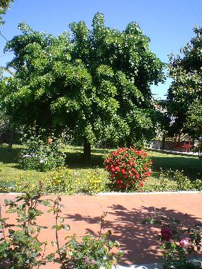Apartamento de vacaciones en Colonella (Teramo)Casa de vacaciones