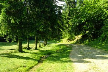 Casa de vacaciones en Timisu de Jos (Brasov)Casa de vacaciones