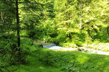 Casa de vacaciones en Timisu de Jos (Brasov)Casa de vacaciones