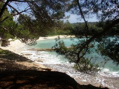 Apartamento de vacaciones en Vinkuran (Istarska)Casa de vacaciones