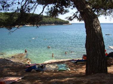 Apartamento de vacaciones en Vinkuran (Istarska)Casa de vacaciones