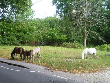Casa de vacaciones en Highcliffe/Christchurch/bournemouth (South West)Casa de vacaciones