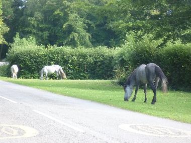Casa de vacaciones en Highcliffe/Christchurch/bournemouth (South West)Casa de vacaciones