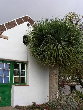 Apartamento 6 con drago