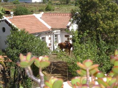 Casas junior con caballo