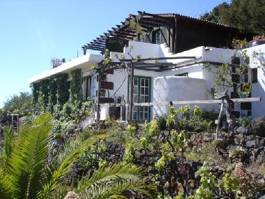 Las casas de hiedra y de madera