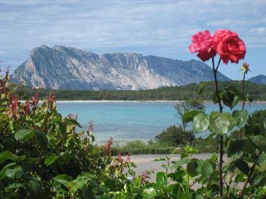 Apartamento de vacaciones en Budoni / Solita (Olbia-Tempio)Casa de vacaciones