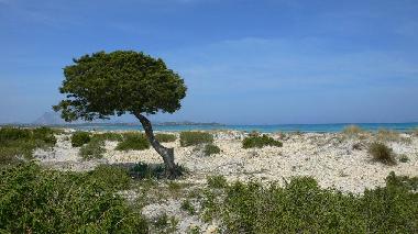 Casa de vacaciones en San Teodoro (Olbia-Tempio)Casa de vacaciones