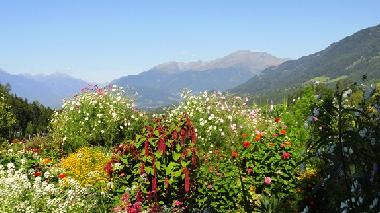 Apartamento de vacaciones en Millstatt (Oberkrnten)Casa de vacaciones