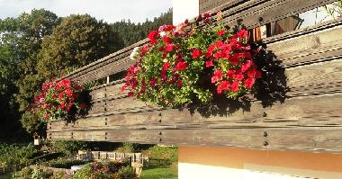 Apartamento de vacaciones en Millstatt (Oberkrnten)Casa de vacaciones