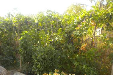 Casa de vacaciones en Ksamil (Sarande)Casa de vacaciones