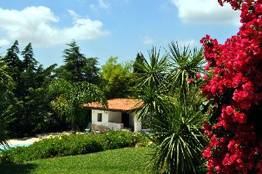 Villa en Barao de Sao Miguel (Algarve)Casa de vacaciones