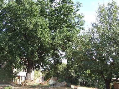 Apartamento de vacaciones en Colle Val d