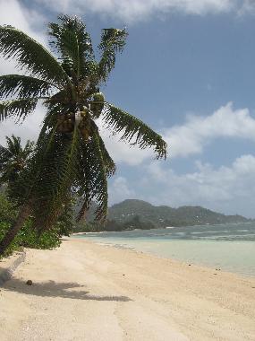 Apartamento de vacaciones en Mahe (Anse Royale)Casa de vacaciones