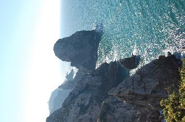 fal�sias de sintra