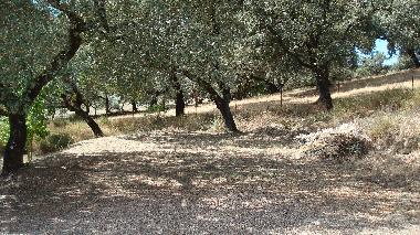 Entorno