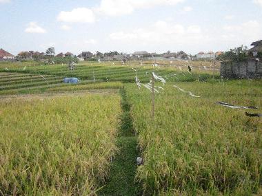 Villa en Kerobokan - Umalas (Bali)Casa de vacaciones