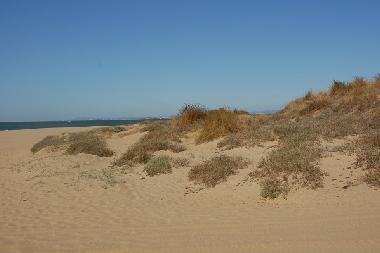 Apartamento de vacaciones en AYAMONTE (Huelva)Casa de vacaciones