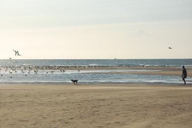 Apartamento de vacaciones en AYAMONTE (Huelva)Casa de vacaciones