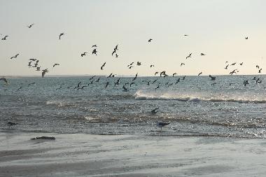 Apartamento de vacaciones en AYAMONTE (Huelva)Casa de vacaciones