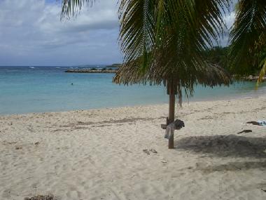 Apartamento de vacaciones en SAINT RANCOIS (Guadeloupe)Casa de vacaciones