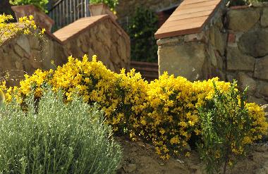 Apartamento de vacaciones en Montevarchi (Arezzo)Casa de vacaciones