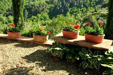 Apartamento de vacaciones en Montevarchi (Arezzo)Casa de vacaciones