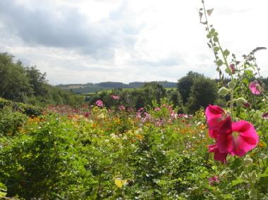 Apartamento de vacaciones en Amel (Wallonia)Casa de vacaciones