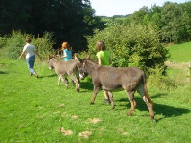 Apartamento de vacaciones en Amel (Wallonia)Casa de vacaciones