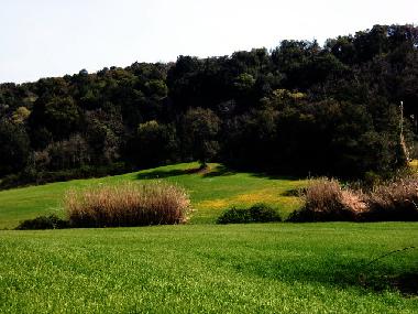 Apartamento de vacaciones en Tuscania (Viterbo)Casa de vacaciones