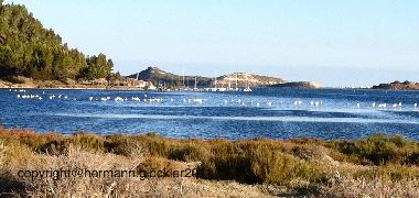 Casa de vacaciones en Peyriac de mer (Aude)Casa de vacaciones