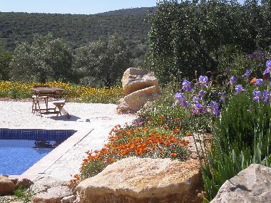 Villa en Moncarapacho (Algarve)Casa de vacaciones