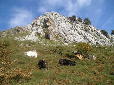 Alrededores de la Casa