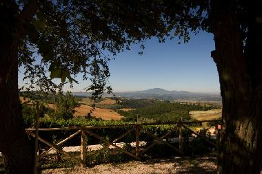 Apartamento de vacaciones en Lugnano in Teverina (Terni)Casa de vacaciones