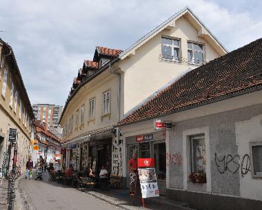 Apartamento de vacaciones en Ljubljana (Ljubljana)Casa de vacaciones