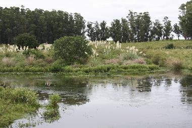 Chalet en Piedras de Afilar (Canelones)Casa de vacaciones