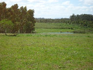 Chalet en Piedras de Afilar (Canelones)Casa de vacaciones