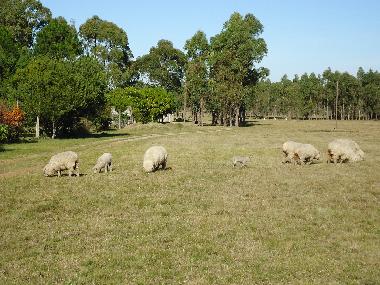 Chalet en Piedras de Afilar (Canelones)Casa de vacaciones
