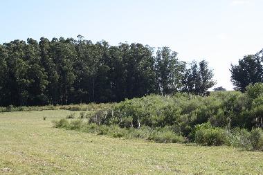 Chalet en Piedras de Afilar (Canelones)Casa de vacaciones
