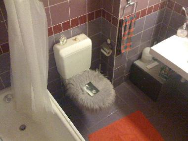 Apartamento de vacaciones en Le Mont-P�lerin (Montreux-Vevey)Casa de vacaciones