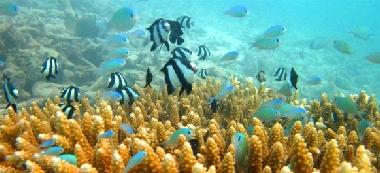 Casa de vacaciones en Velidhoo (Noonu)Casa de vacaciones