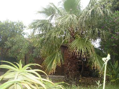 Villa en Travo (Haute-Corse)Casa de vacaciones