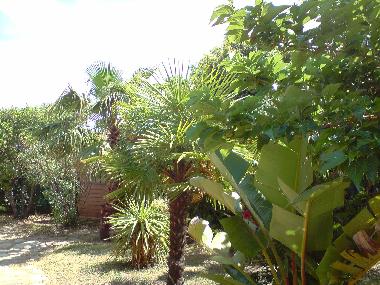 Villa en Travo (Haute-Corse)Casa de vacaciones