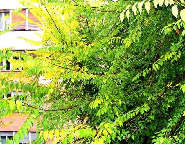 Apartamento de vacaciones en Zagreb (Zagrebacka)Casa de vacaciones