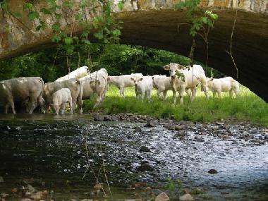 Apartamento de vacaciones en matour (Sane-et-Loire)Casa de vacaciones