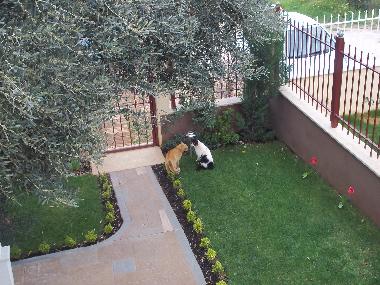 Apartamento de vacaciones en Nea Makri (Attiki)Casa de vacaciones